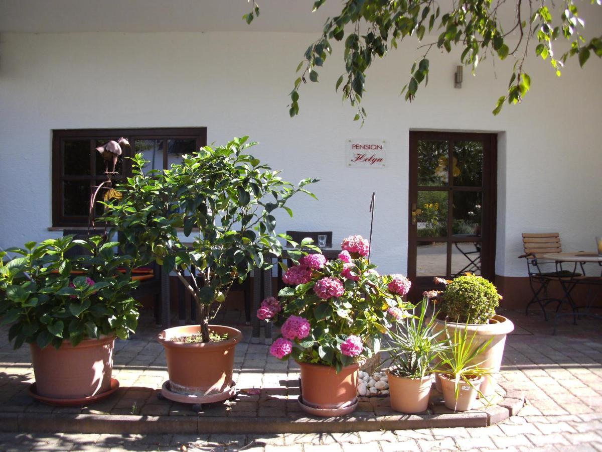 Pension Helga Бад-Дюркхайм Экстерьер фото